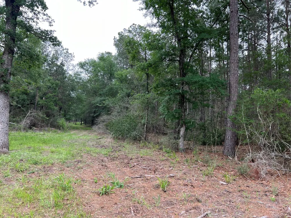 2 English Road Bedias, TX 77831