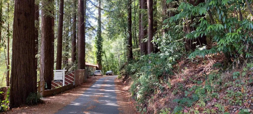18355 Neeley Road Guerneville, CA 95446