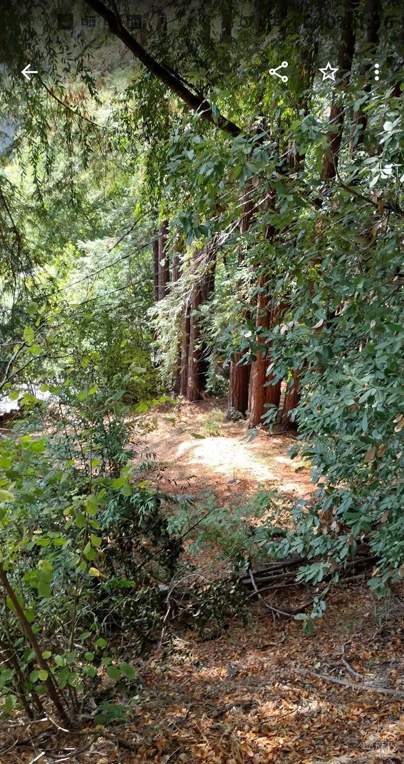 18355 Neeley Road Guerneville, CA 95446