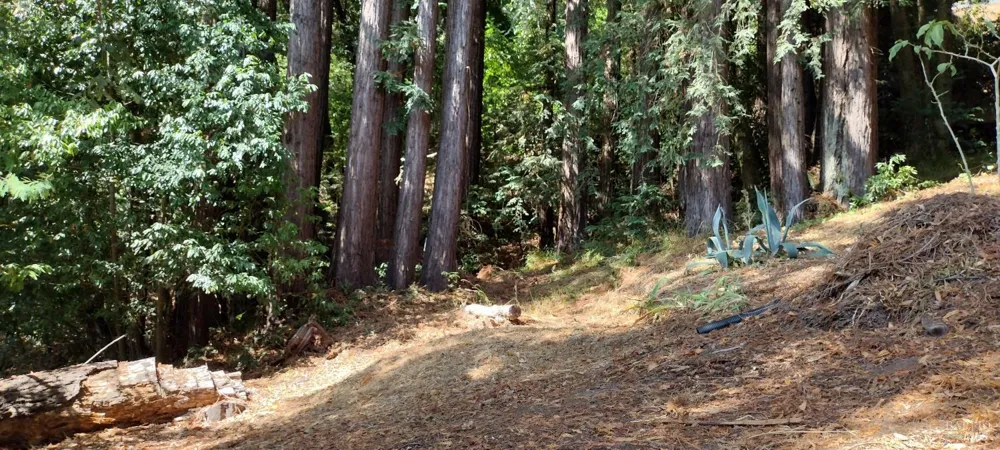 18355 Neeley Road Guerneville, CA 95446