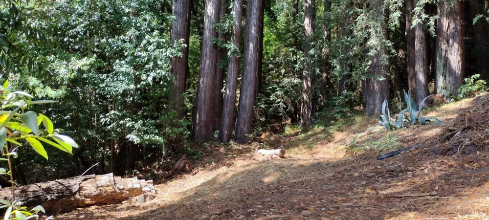 18355 Neeley Road Guerneville, CA 95446