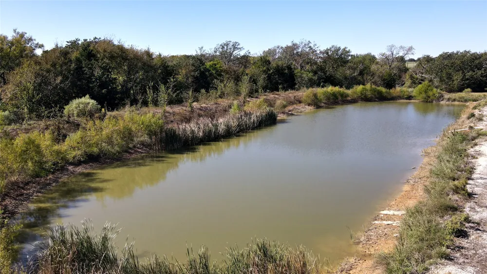 11133 St Hwy 19 Athens, TX 75752