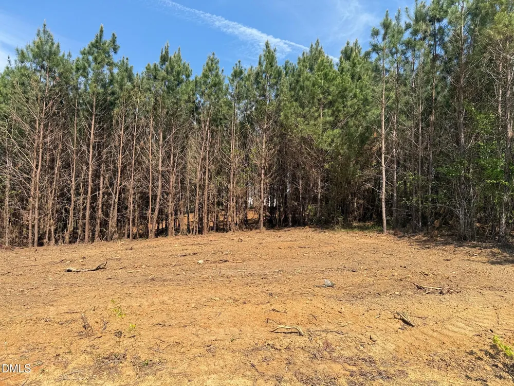 2345 Peachtree Hills Road Spring Hope, NC 27882