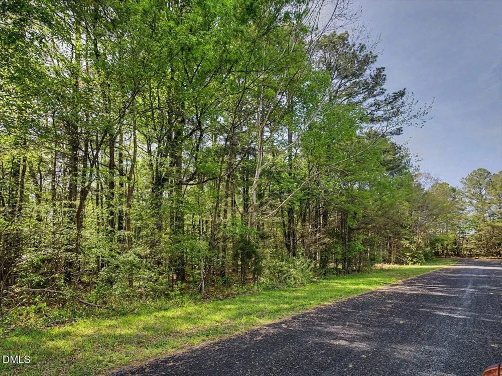 0 Lula Klass Road Goldston, NC 27252