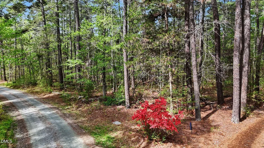 Tbd Elg Road Efland, NC 27243