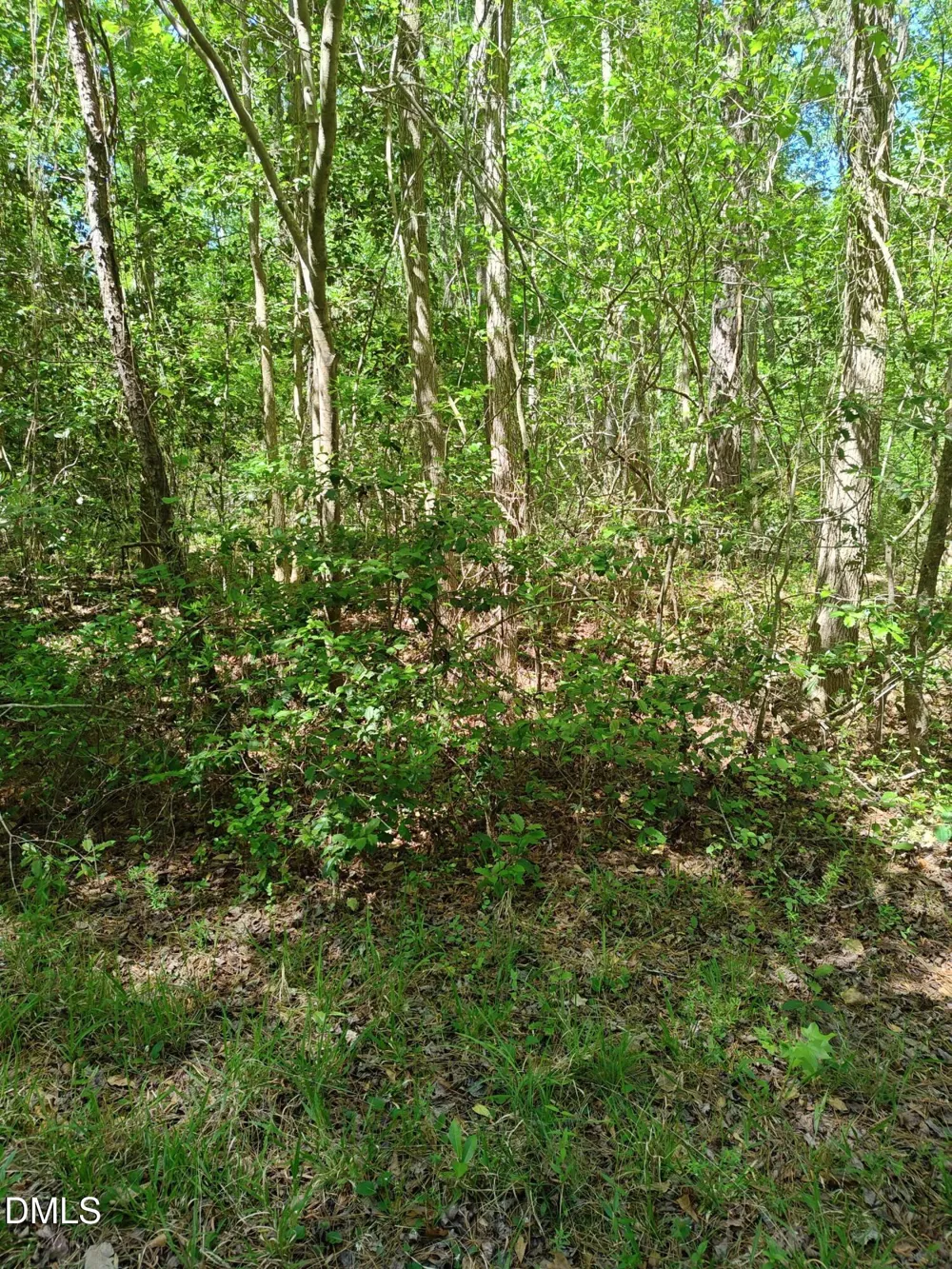 859 Bob White Drive Vass, NC 28394