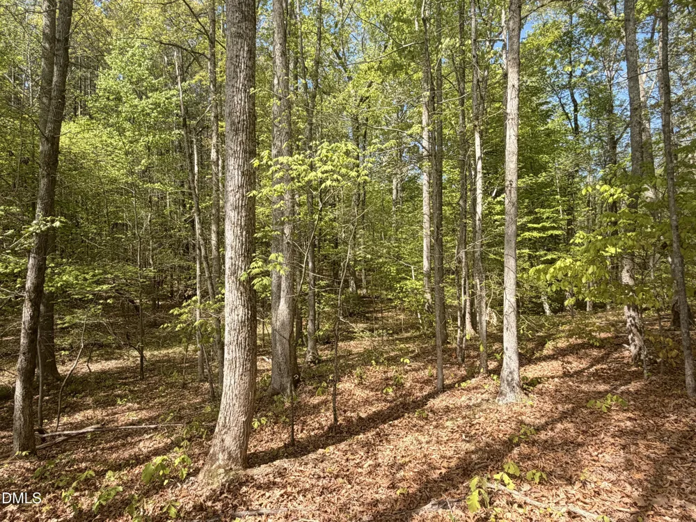 4 Plantation Henderson, NC 27537