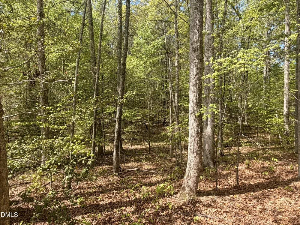 4 Plantation Henderson, NC 27537