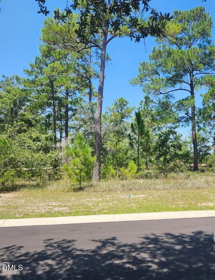 551 Glitter Bay Court Shallotte, NC 28470