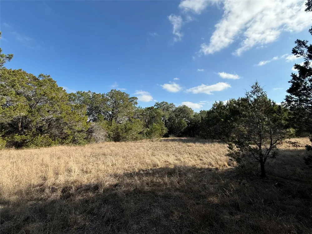 Address Not Shown Cypress Mill, TX 78663