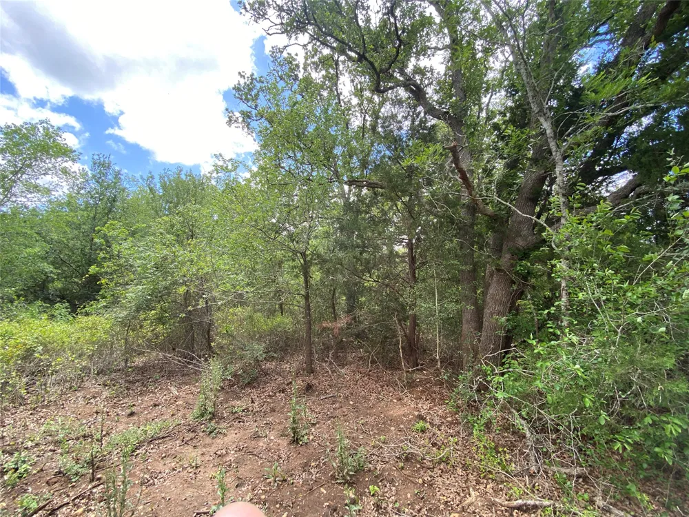 N HWY 77 Lincoln, TX 78948