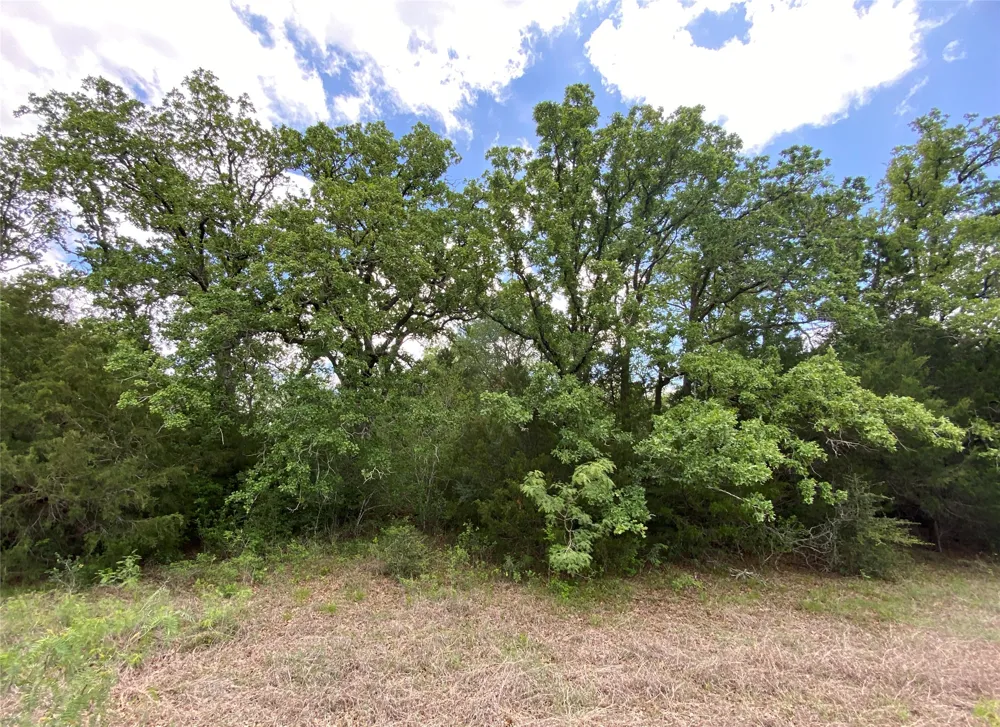 N HWY 77 Lincoln, TX 78948