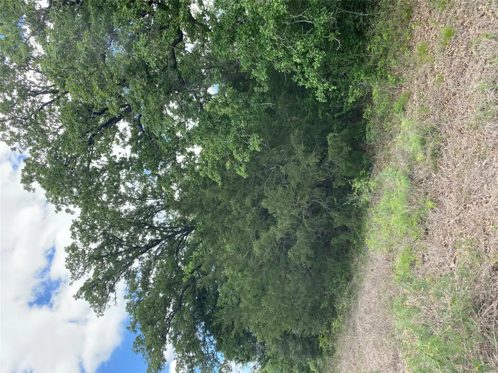 N HWY 77 Lincoln, TX 78948