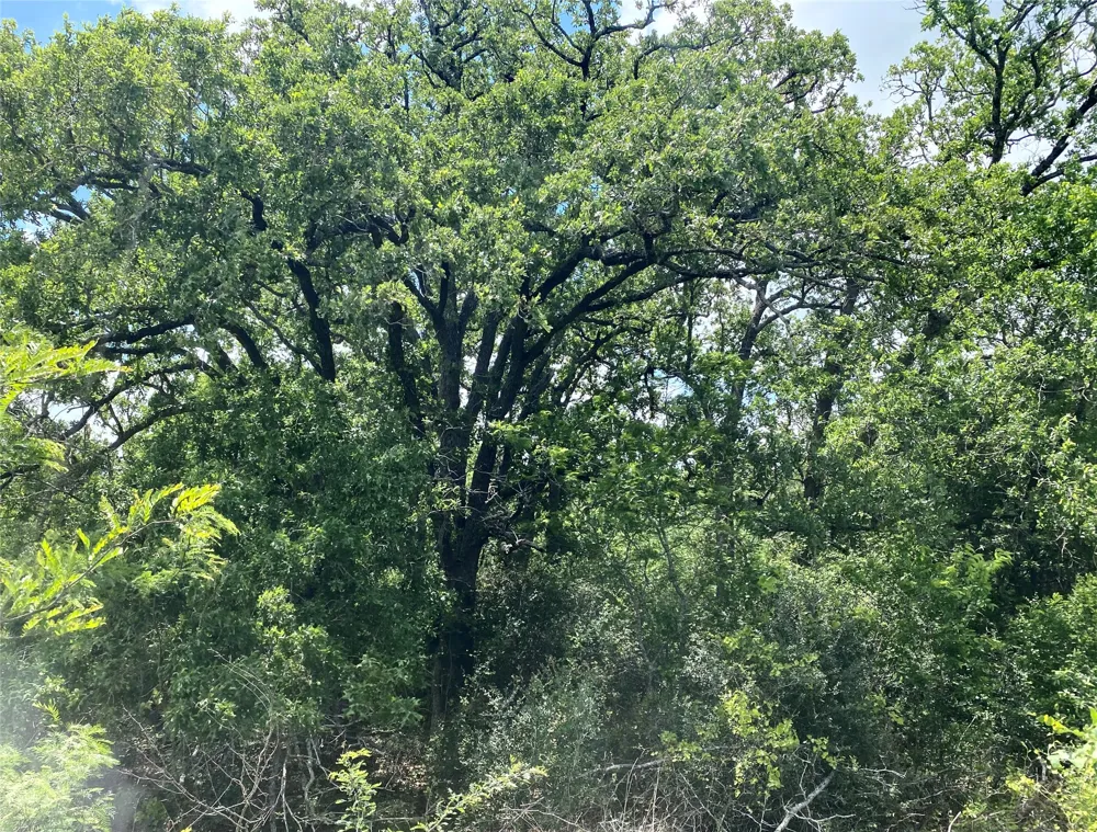 N HWY 77 Lincoln, TX 78948