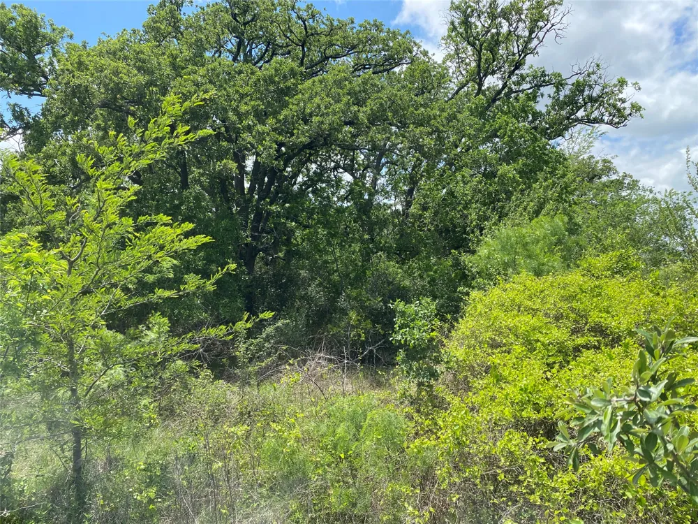 N HWY 77 Lincoln, TX 78948