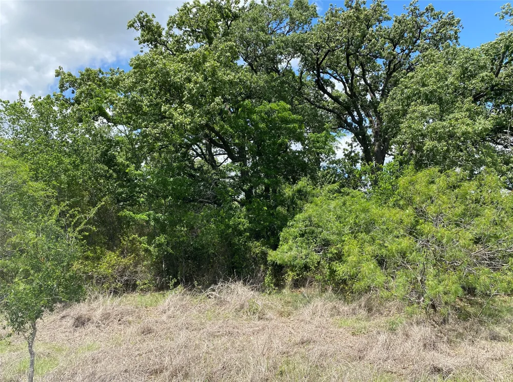 N HWY 77 Lincoln, TX 78948