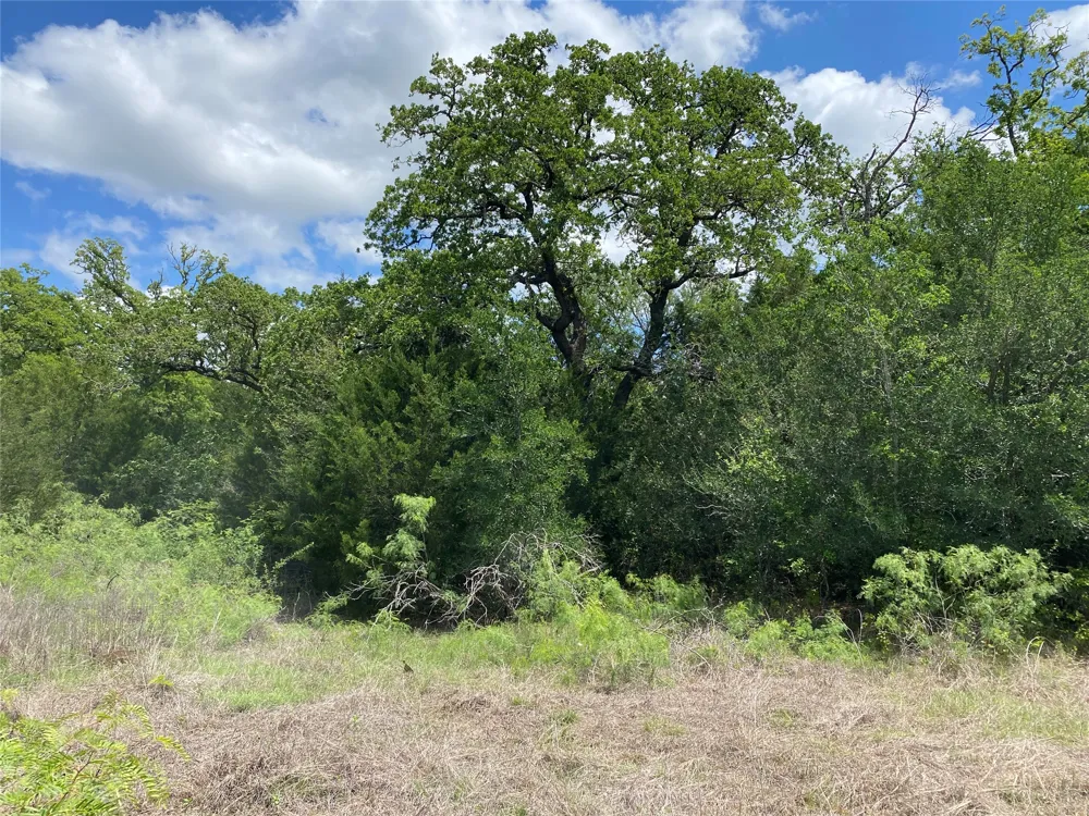 N HWY 77 Lincoln, TX 78948