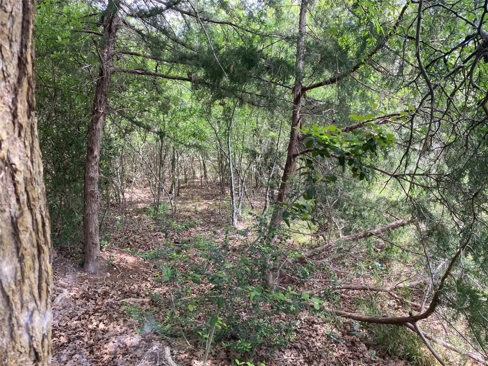N HWY 77 Lincoln, TX 78948