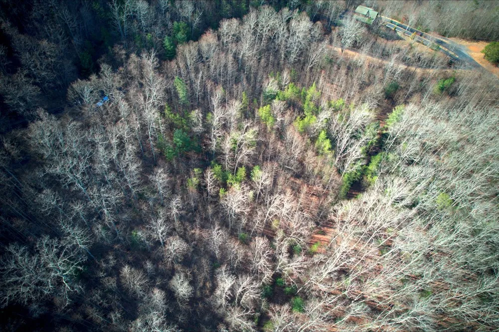 Fawn Ridge Trail Murphy, NC 28906