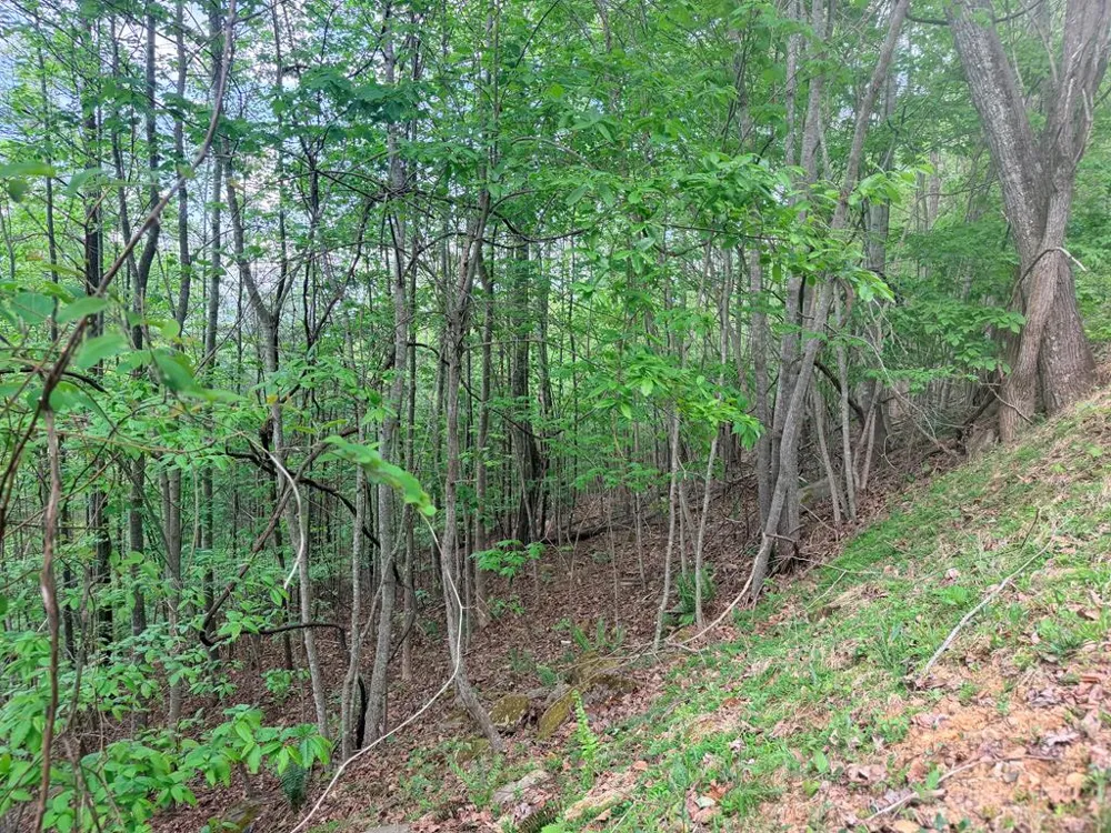Fawn Ridge Trail Murphy, NC 28906