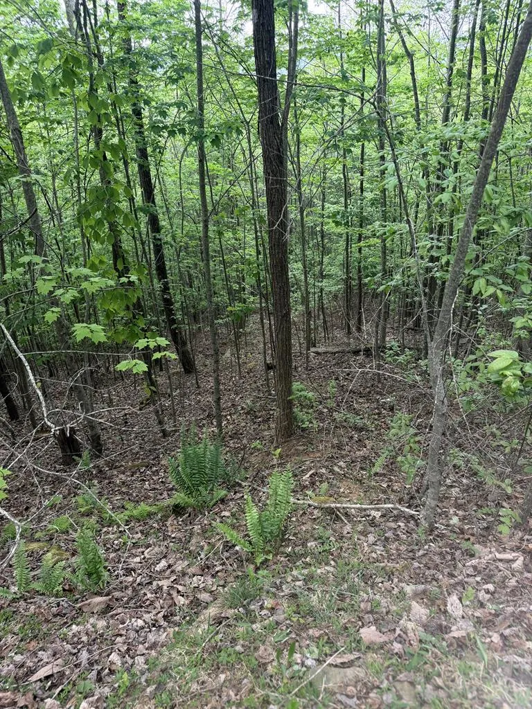Fawn Ridge Trail Murphy, NC 28906