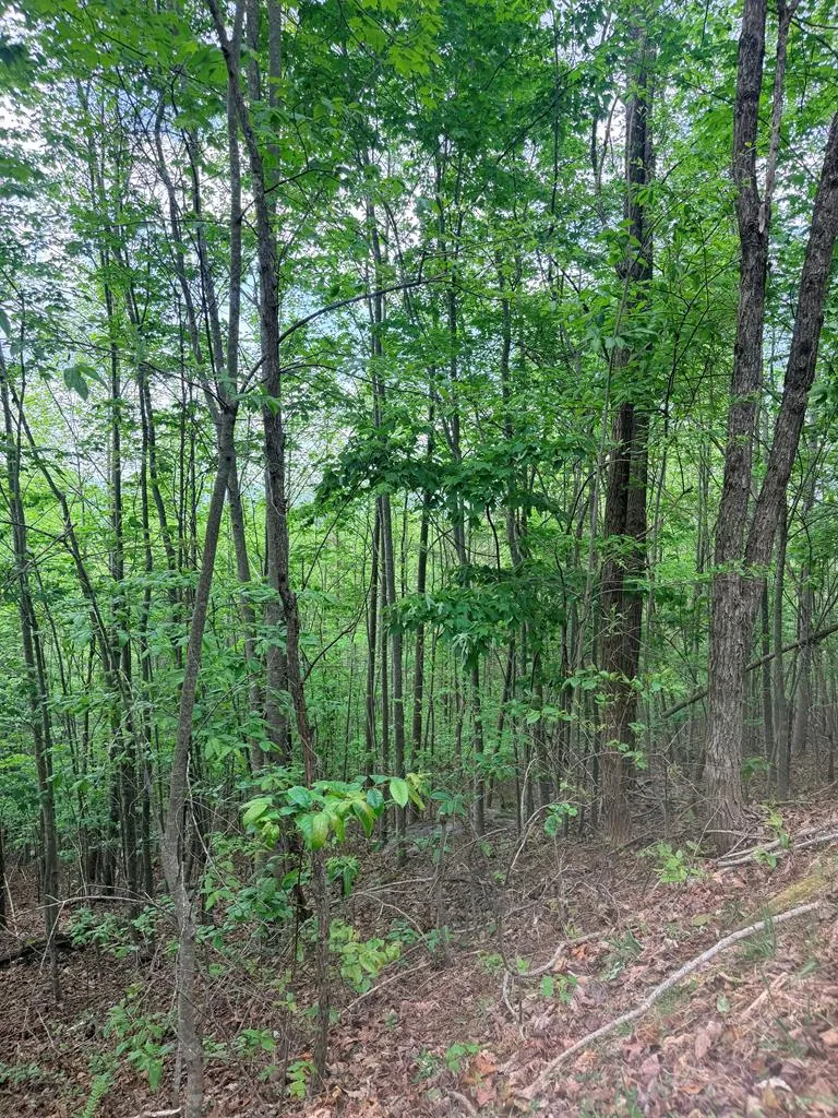 Fawn Ridge Trail Murphy, NC 28906