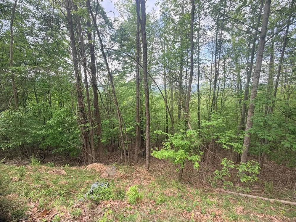 Fawn Ridge Trail Murphy, NC 28906