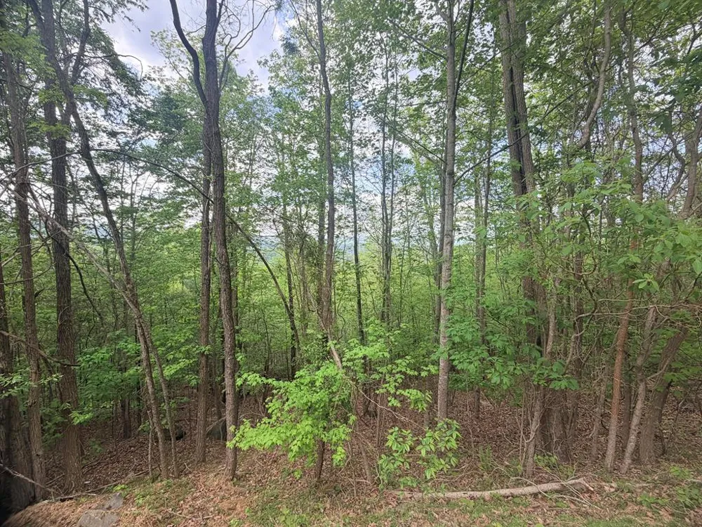 Fawn Ridge Trail Murphy, NC 28906