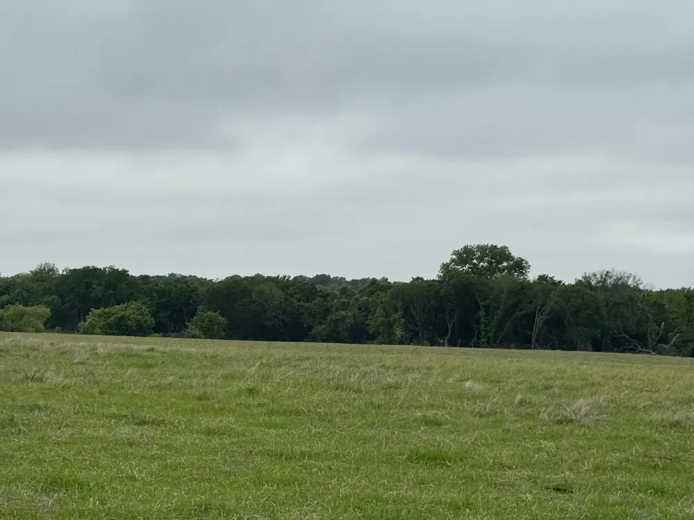 599 Lone Star Poolville, TX 76487