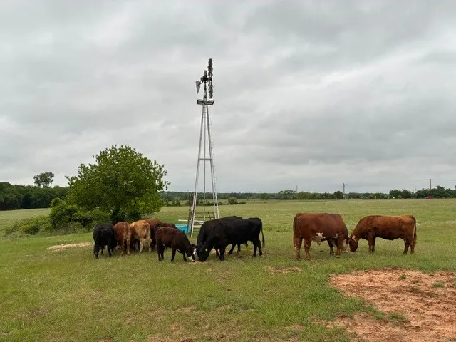 599 Lone Star Poolville, TX 76487