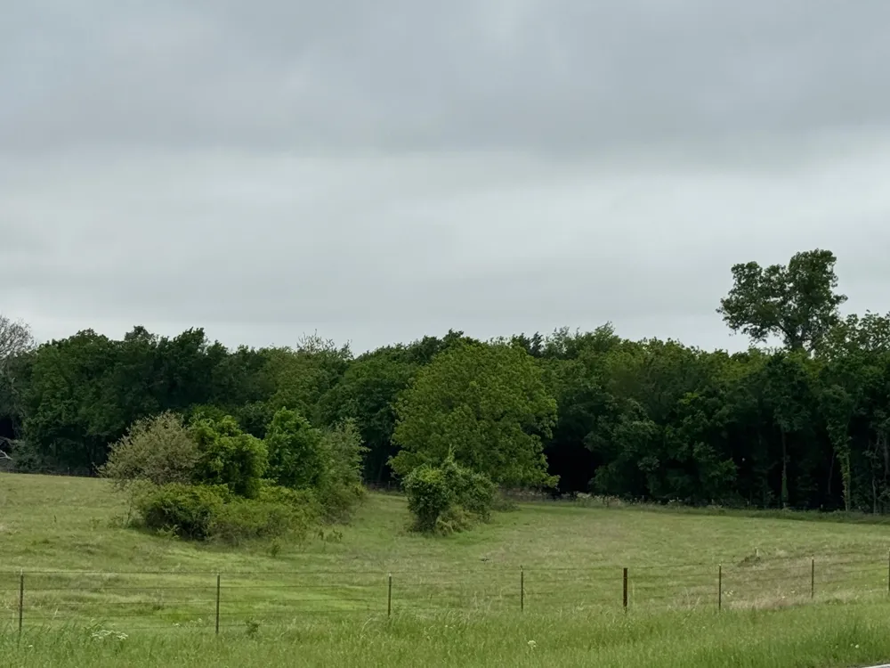 599 Lone Star Poolville, TX 76487