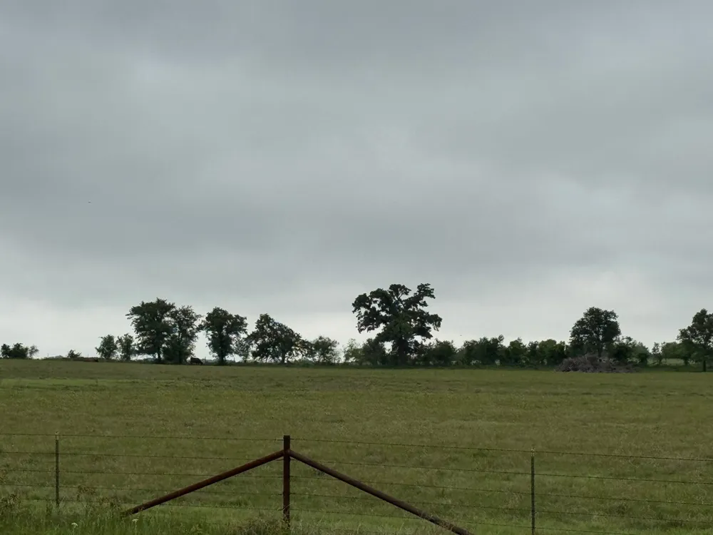 599 Lone Star Poolville, TX 76487
