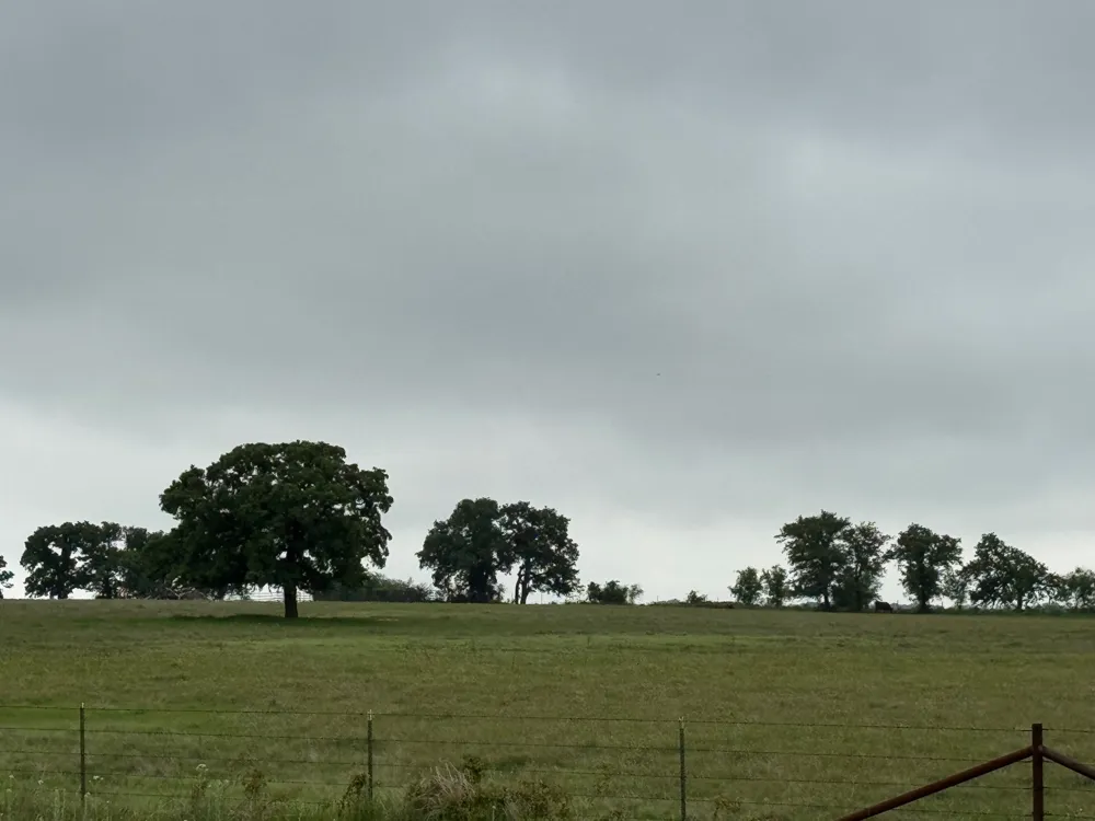 599 Lone Star Poolville, TX 76487