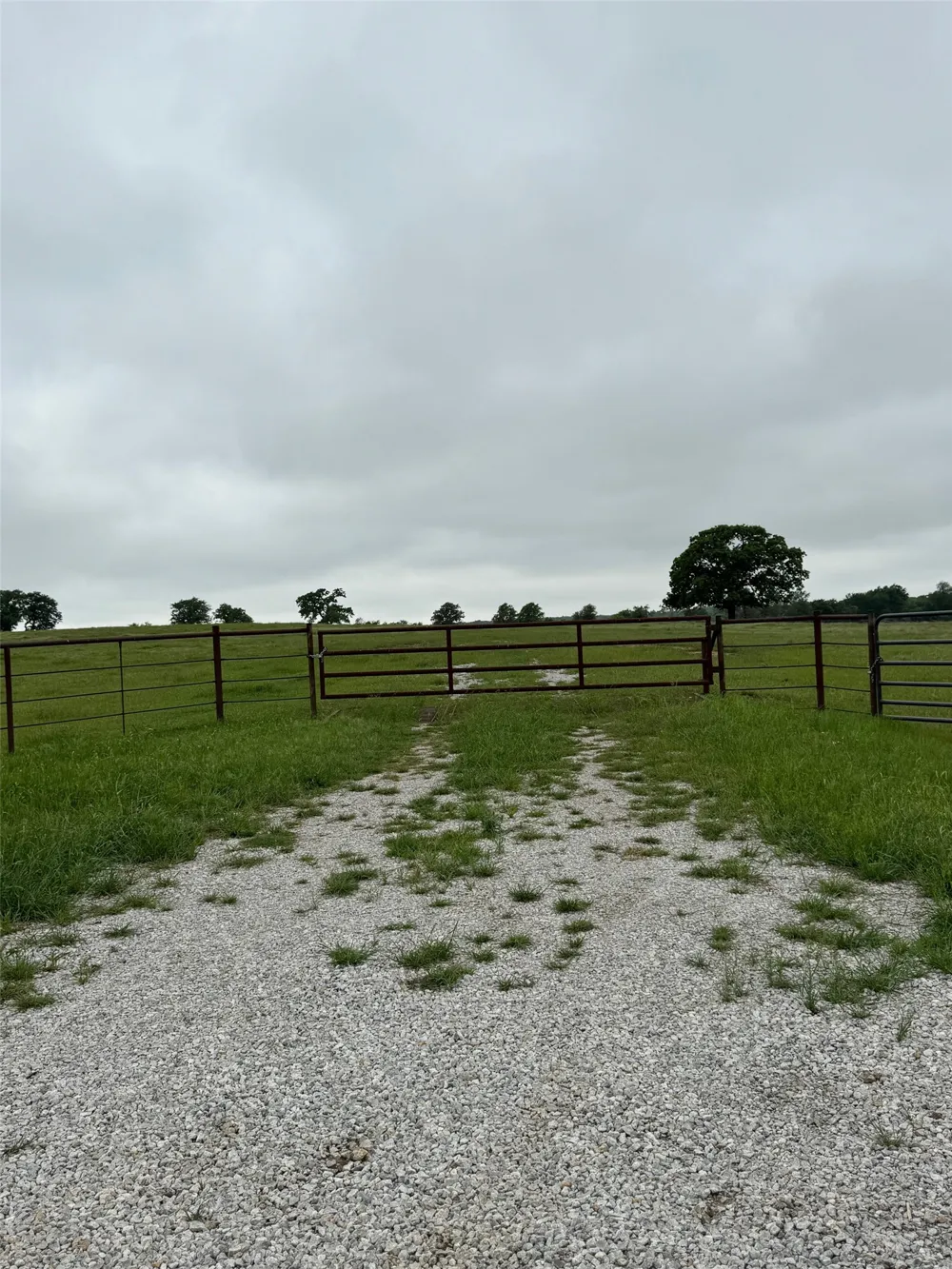 599 Lone Star Poolville, TX 76487