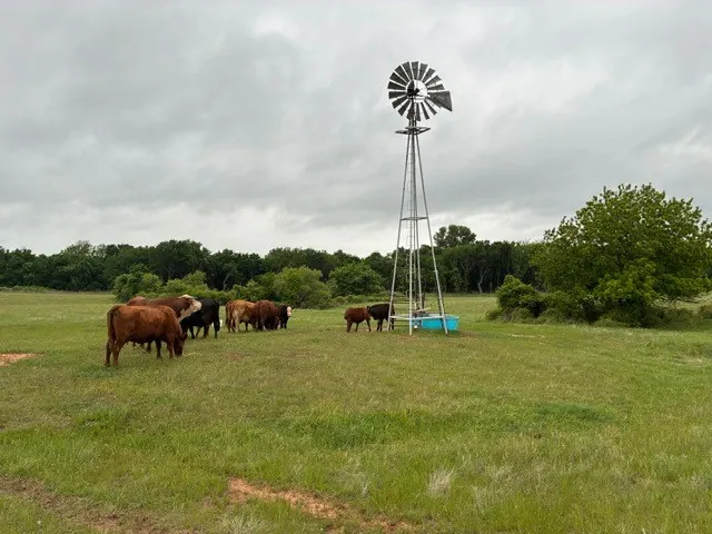 599 Lone Star Poolville, TX 76487