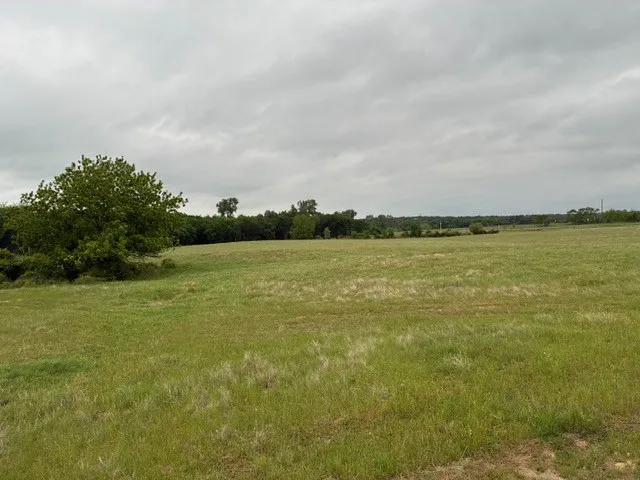599 Lone Star Poolville, TX 76487