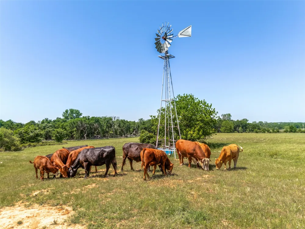 599 Lone Star Poolville, TX 76487