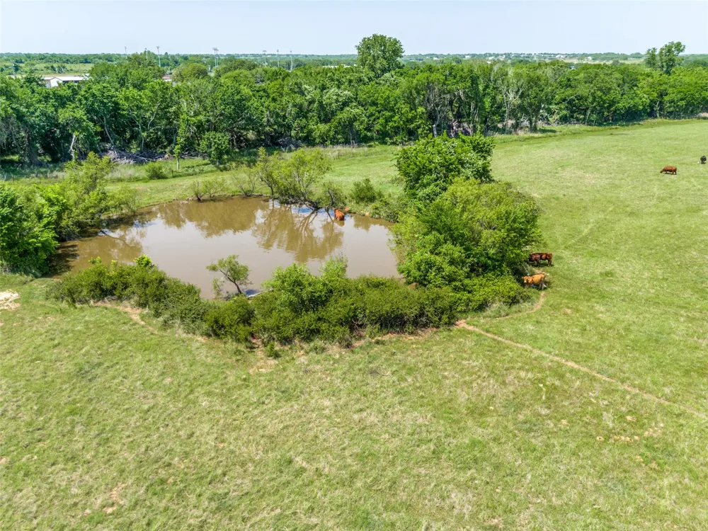 599 Lone Star Poolville, TX 76487
