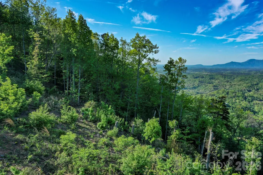 000 Golden Ridge Drive Lake Lure, NC 28746