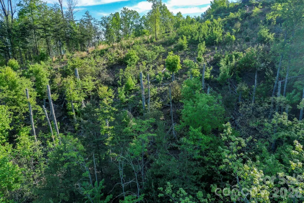 000 Golden Ridge Drive Lake Lure, NC 28746