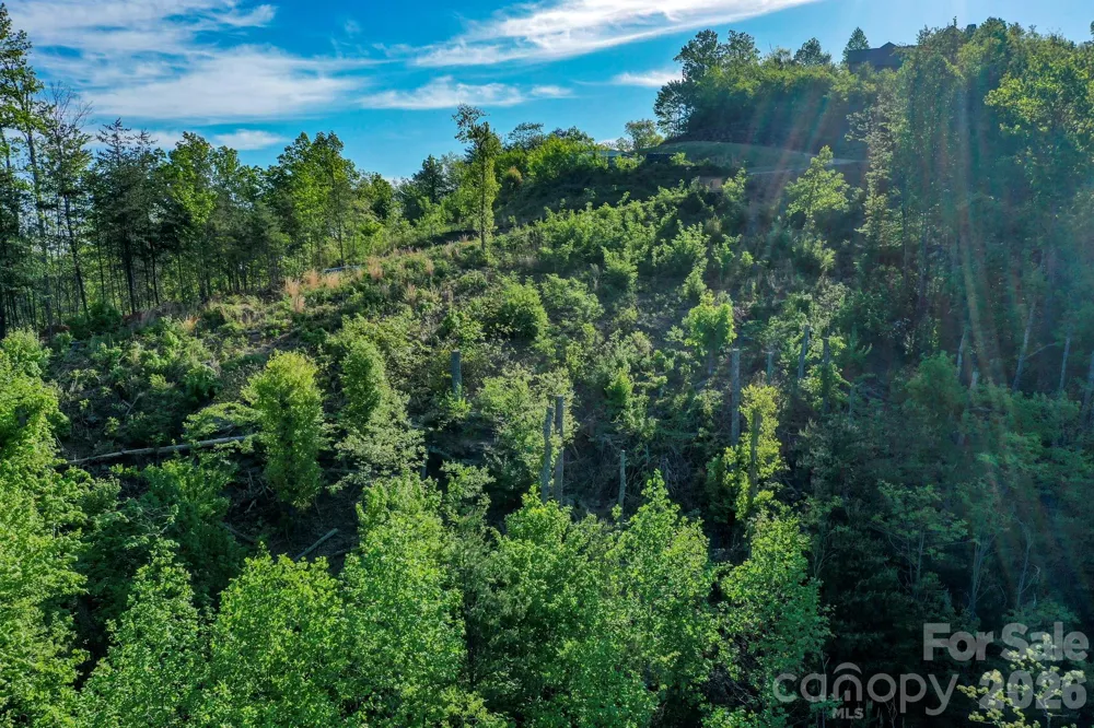 000 Golden Ridge Drive Lake Lure, NC 28746
