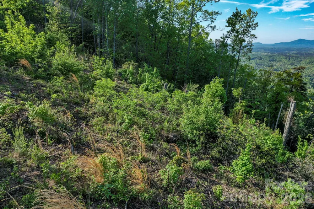 000 Golden Ridge Drive Lake Lure, NC 28746