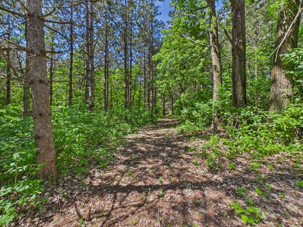 38739 County Road 10 Albany, MN 56307