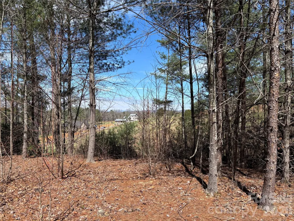 2042 Shadow Ridge Trail #G41 Lenoir, NC 28645