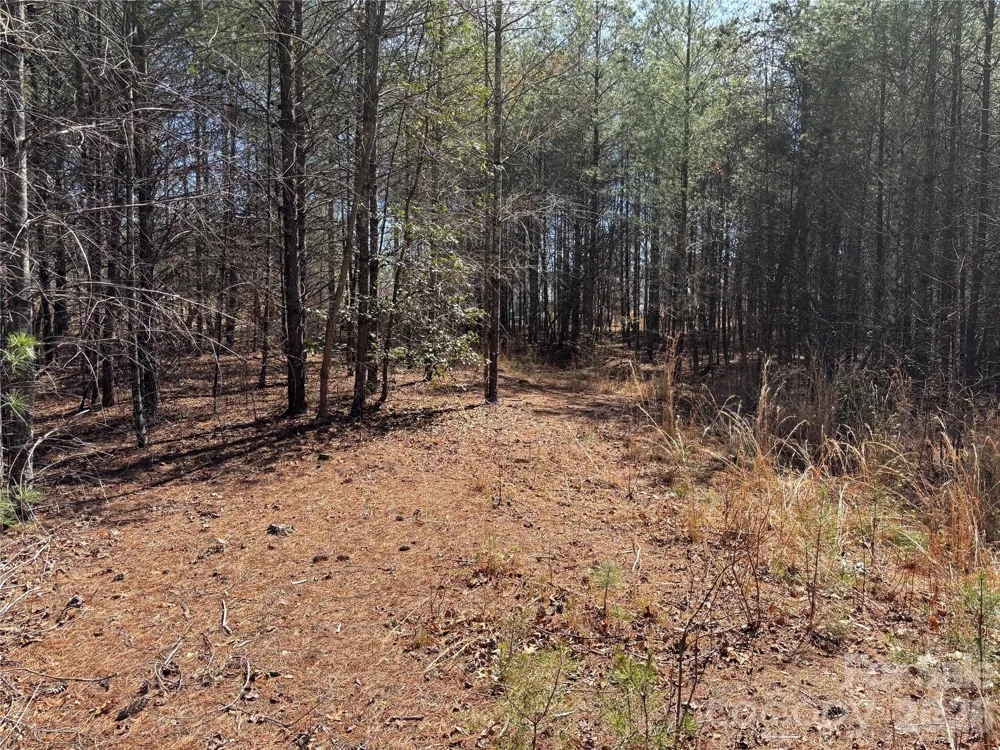 2042 Shadow Ridge Trail #G41 Lenoir, NC 28645