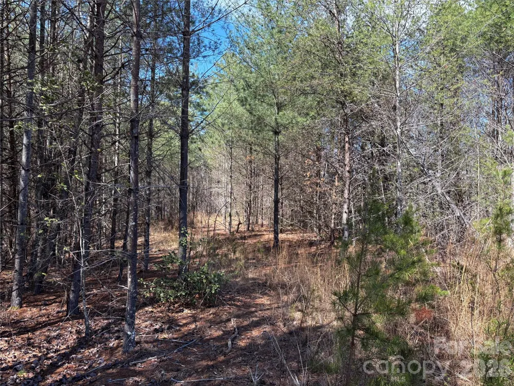 2042 Shadow Ridge Trail #G41 Lenoir, NC 28645