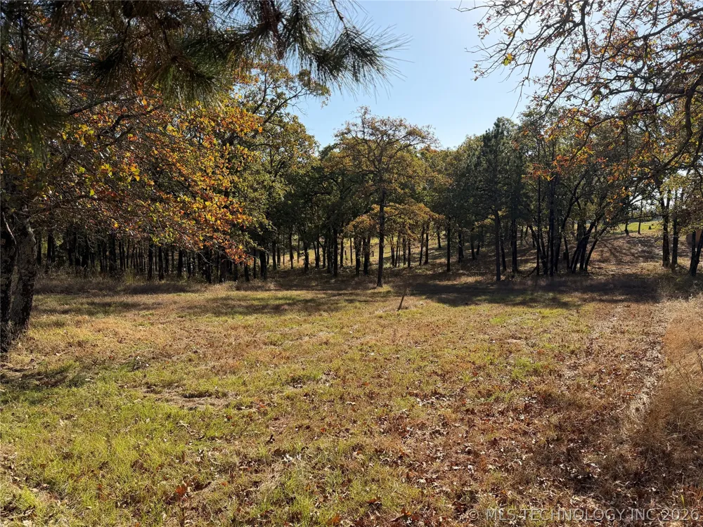 15552 S Highway 109A Boswell, OK 74727