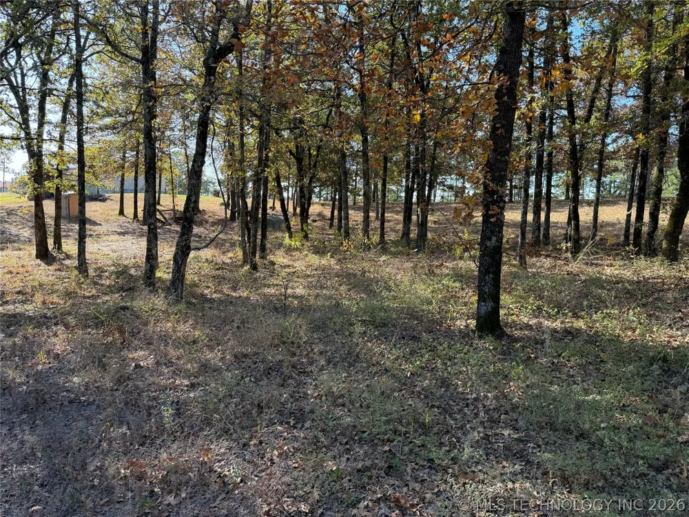 15552 S Highway 109A Boswell, OK 74727