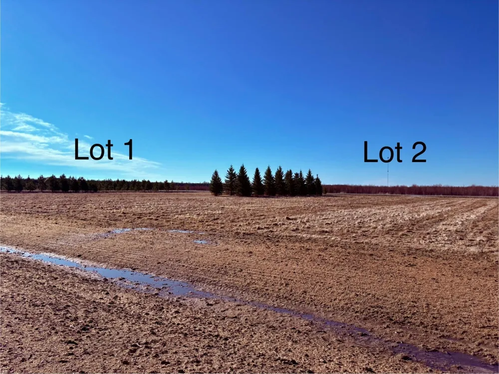 Lot 2 Badger Rd NW Baudette, MN 56623