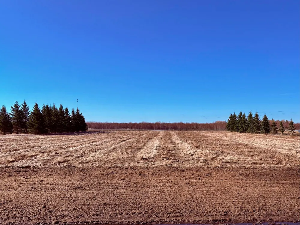 Lot 2 Badger Rd NW Baudette, MN 56623